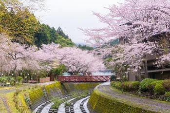 Hôtel Nagaizumi Sansou à Gotemba Extérieur photo